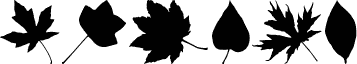 JI Nature Bats