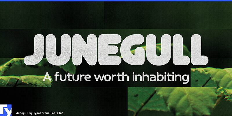 Junegull Regular — Font presentation