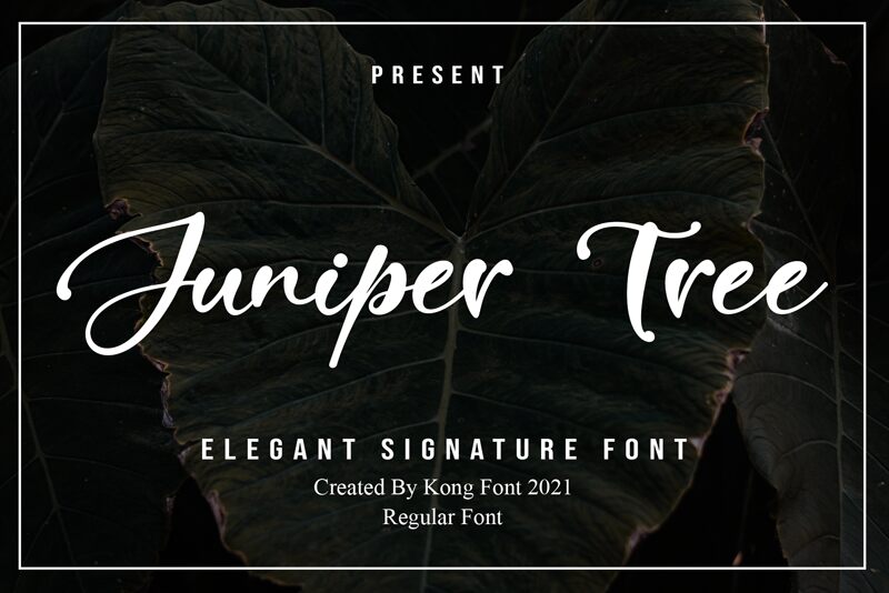 Juniper Tree Schriftart