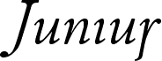 Junius Italic
