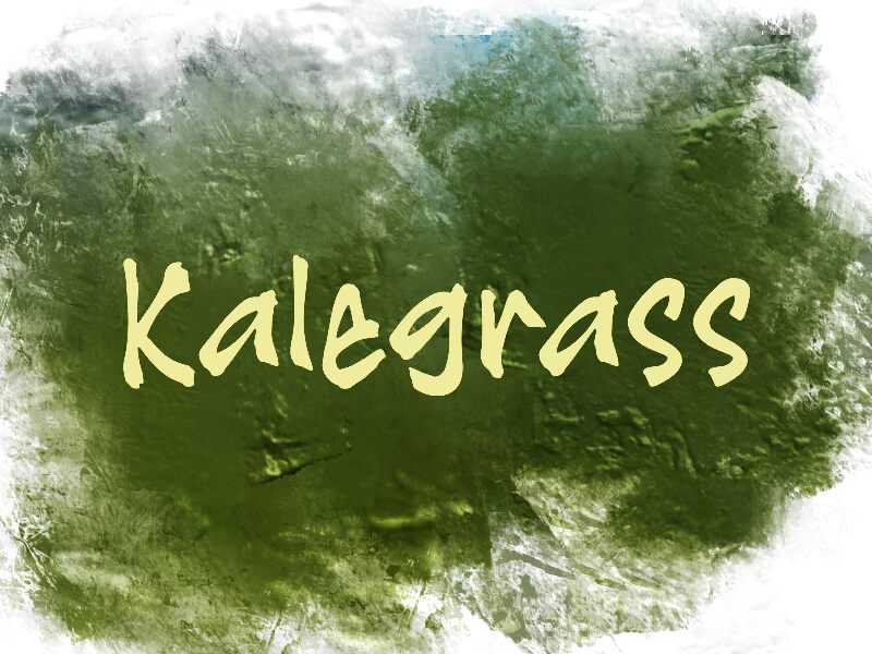 K Kalegrass Шрифт