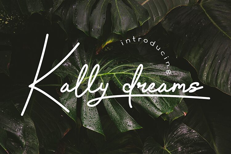 Kally dreams Police