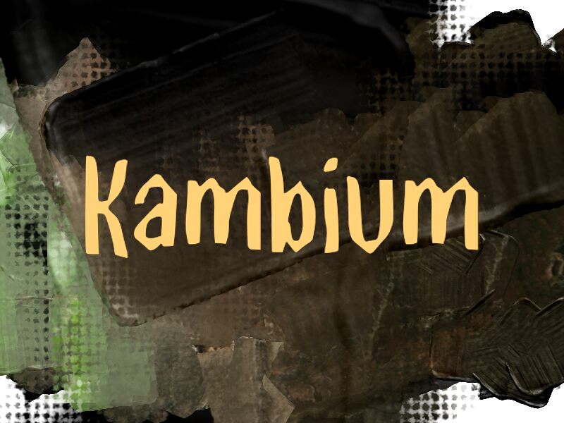K Kambium Carattere