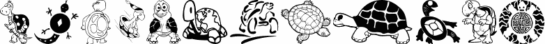 Keya's Turtles