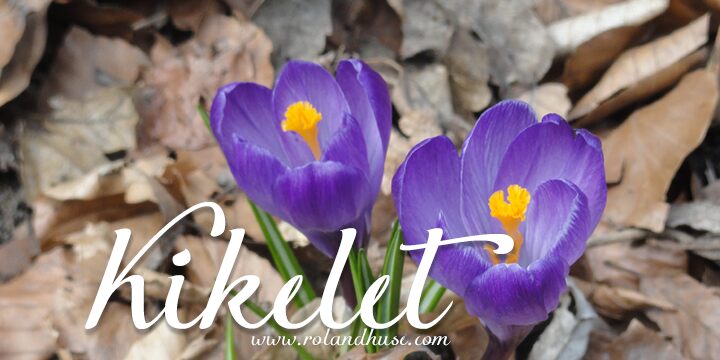 Kikelet Schriftart