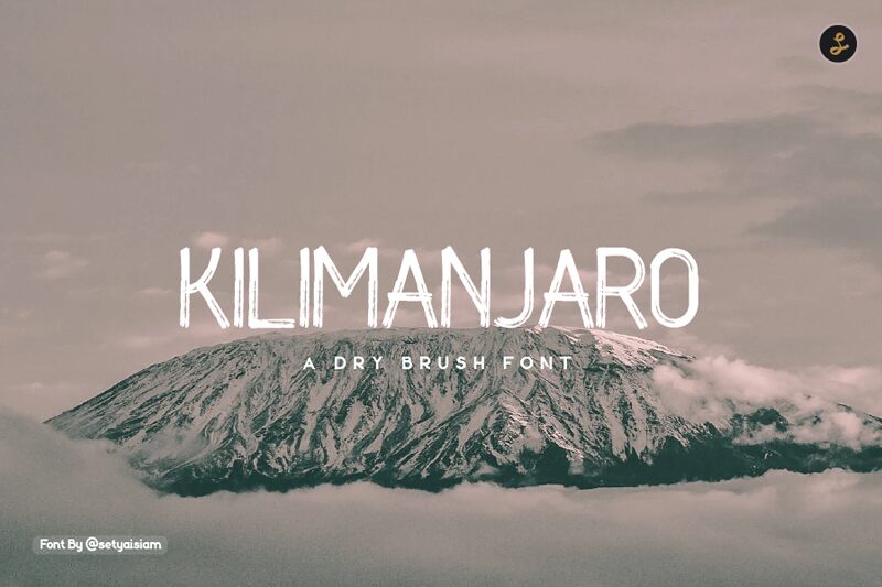 KILIMANJARO Police
