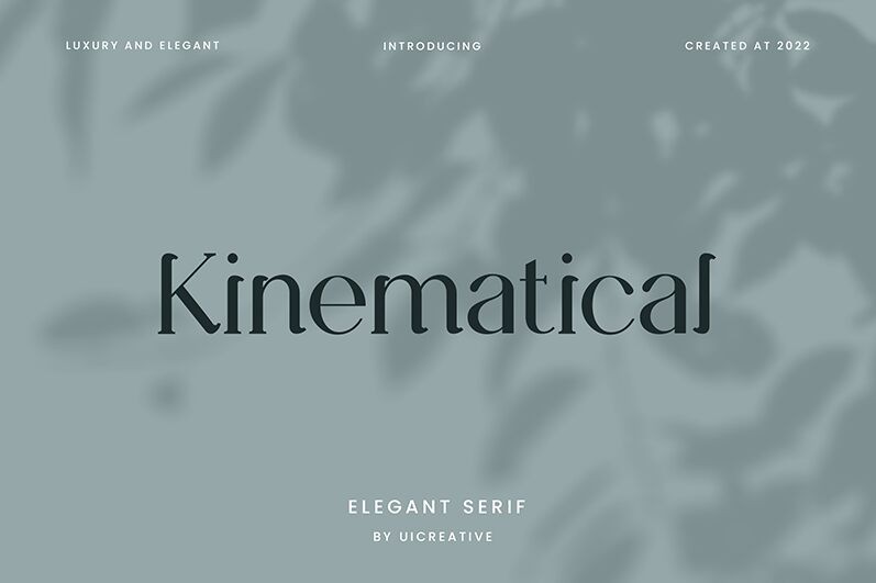 Kinematical Police
