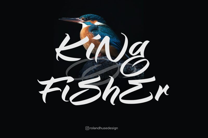 Kingfisher Police
