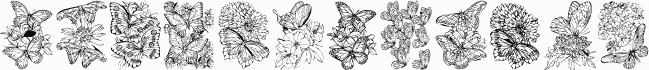 KR Beautiful Butterfly