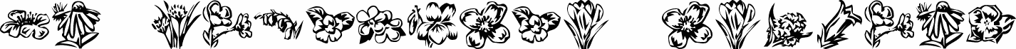 KR Beautiful Flowers 2