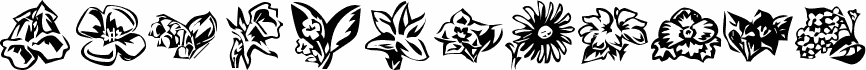 KR Beautiful Flowers 3