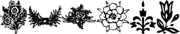 معاينة خط KR Fleurish Floral