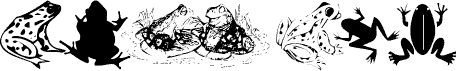 Preview of the KR Frogs for Jennifer font
