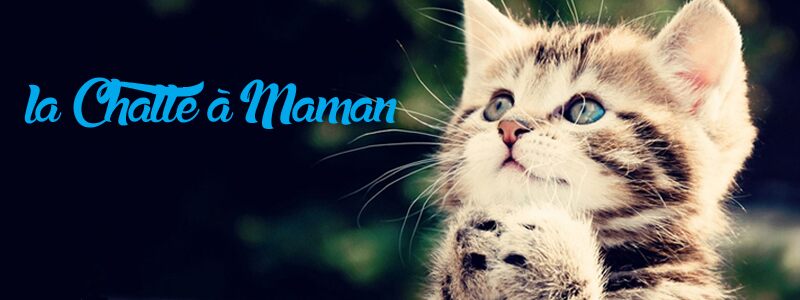 la Chatte à Maman Carattere