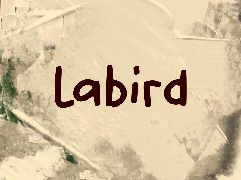L Labird 字体
