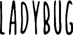 Ladybug-Regular
