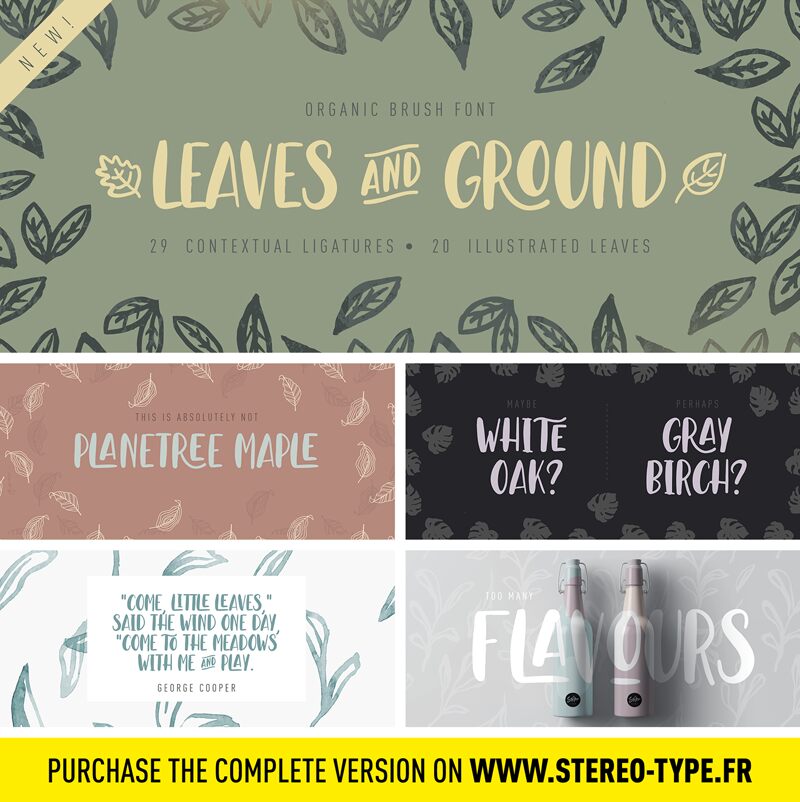 Leaves And Ground Schriftart