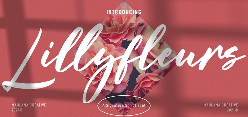 Lillyfleurs Druh písma