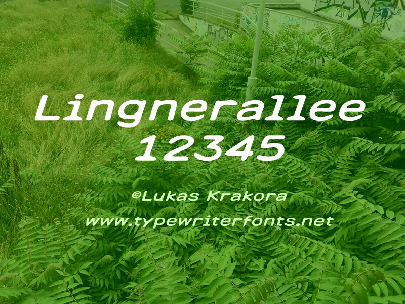 Lingnerallee 12345 Czcionka