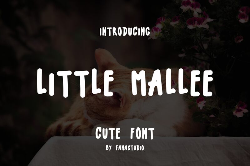 LITTLE MALLE Fuente