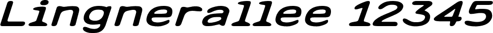 Lingnerallee 12345