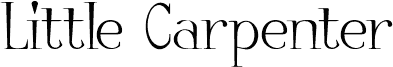 Little Carpenter