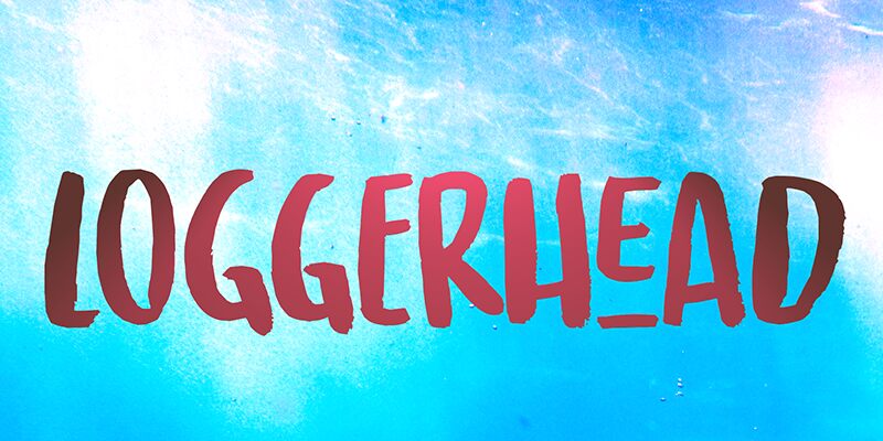 Loggerhead Schriftart