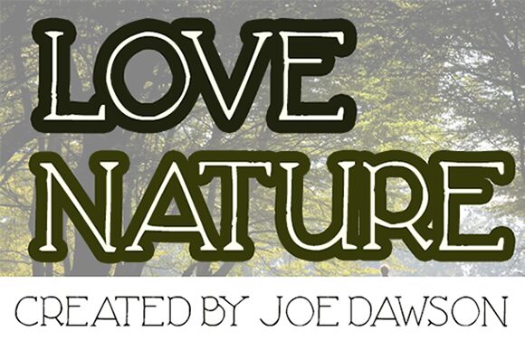 Love Nature Schriftart
