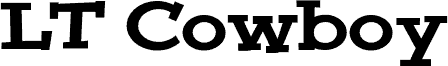 LT Cowboy Medium 字体