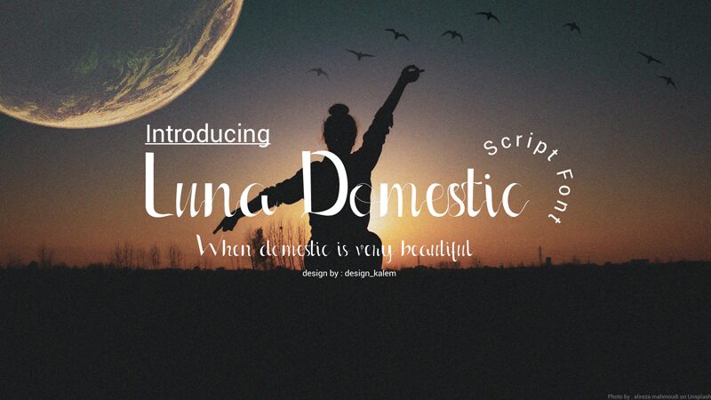 Luna Domestic Police