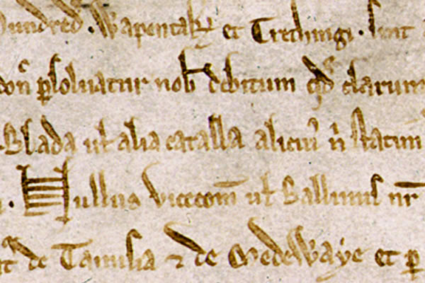 Magna Carta Carattere