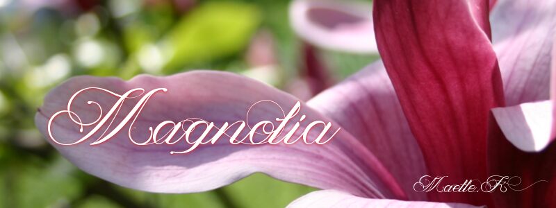 Magnolia  Schriftart