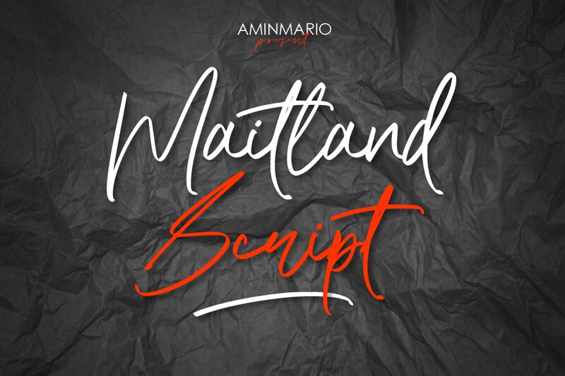Maitland Script Carattere