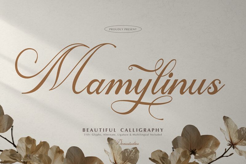 Mamylinus — Presentación de la fuente