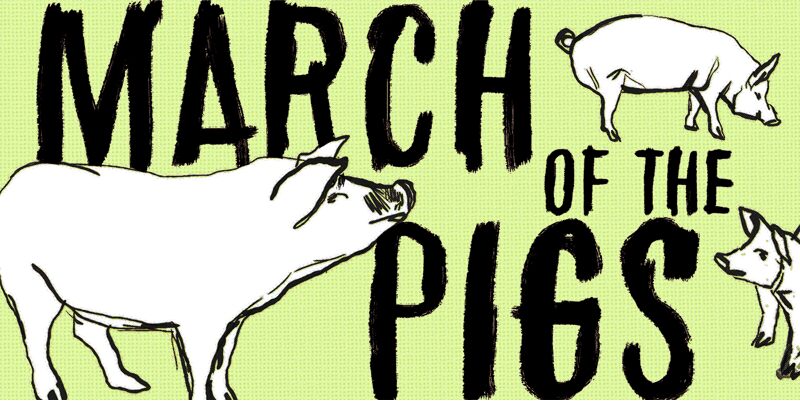 March of the pigs Carattere