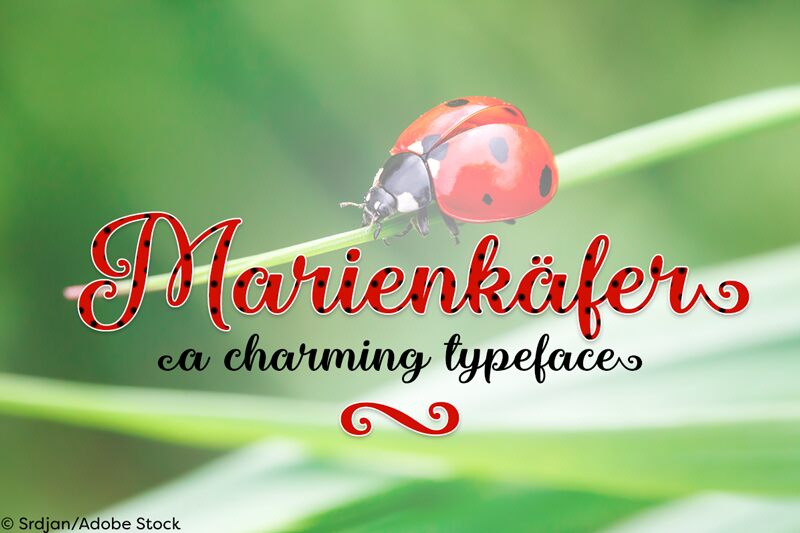 Marienkaefer Schriftart