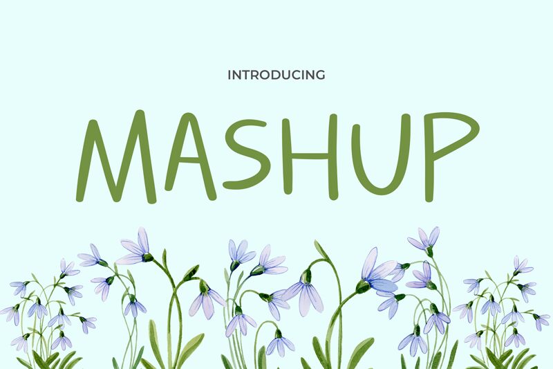 MASHUP Police