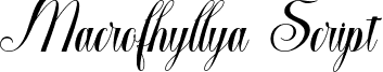 MacrofhyllyaScript