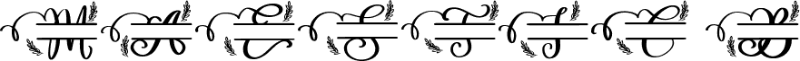 Maestic B