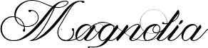 Magnolia  Italic