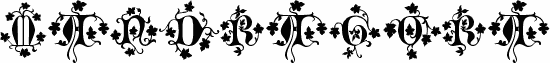 Mandragora"
