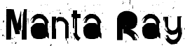 {Manta Ray}