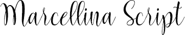 Marcellina Script