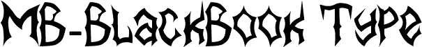 MB-BlackBook Type