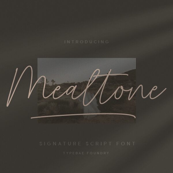 Mealtone Schriftart