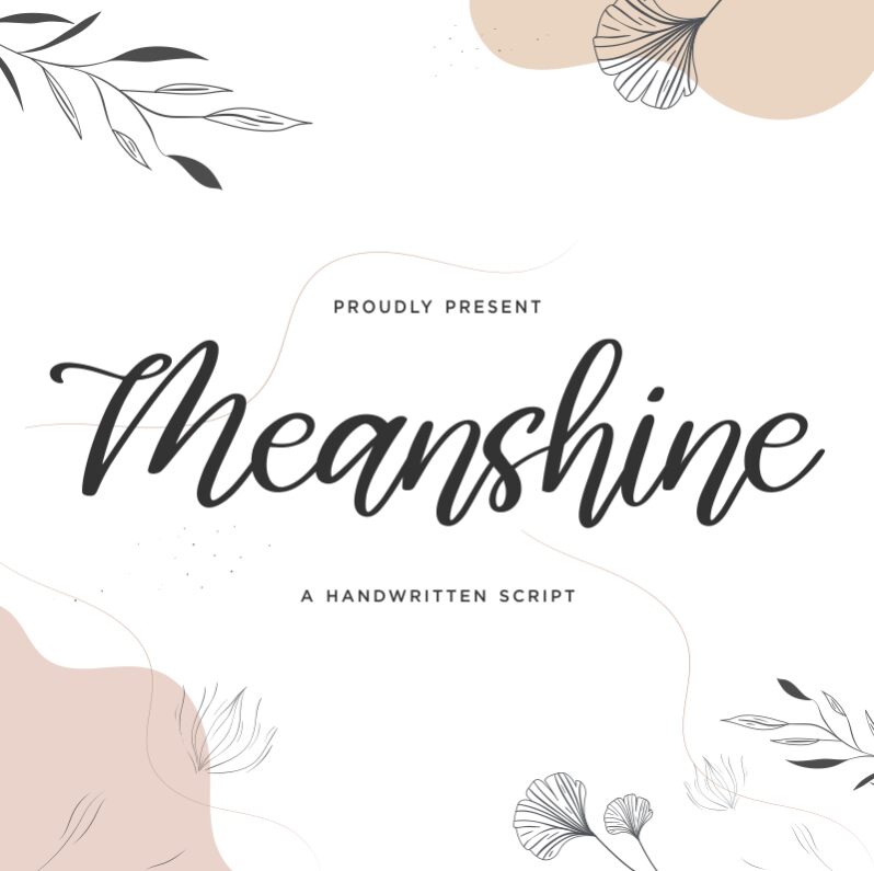 Meanshine Carattere