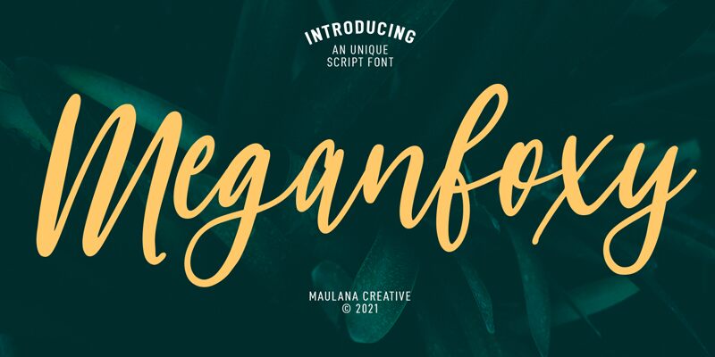 Meganfoxy Druh písma