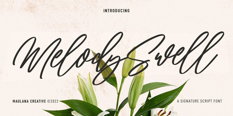 Melody Swell الخط 