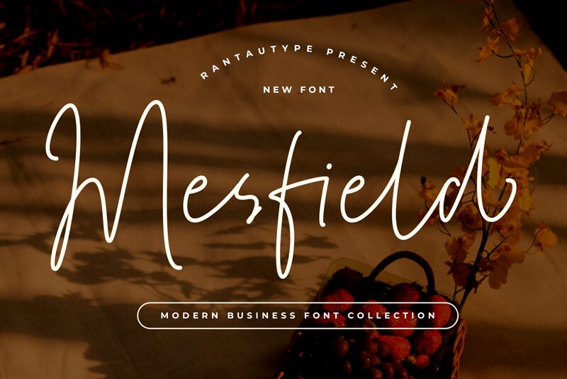 Mesfield Шрифт