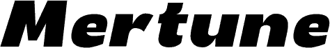 Mertune Light Italic